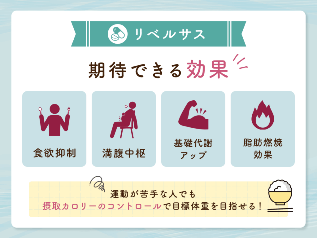 リベルサスは食欲抑制・満腹中枢・基礎代謝アップ・脂肪燃焼効果に期待